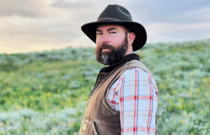 La joya del día – ‘No Big Crime’