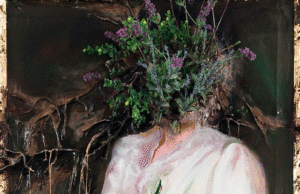 La joya del día – ‘Albatross’