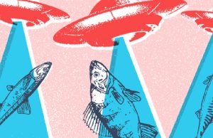 Vuelve el Sardina Fest