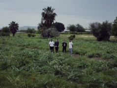 LA HIEL – ‘La Hiel’