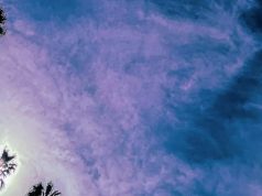 LOOK OUTSIDE YOUR WINDOW – ‘Look Outside Your Window’