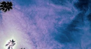 LOOK OUTSIDE YOUR WINDOW – ‘Look Outside Your Window’